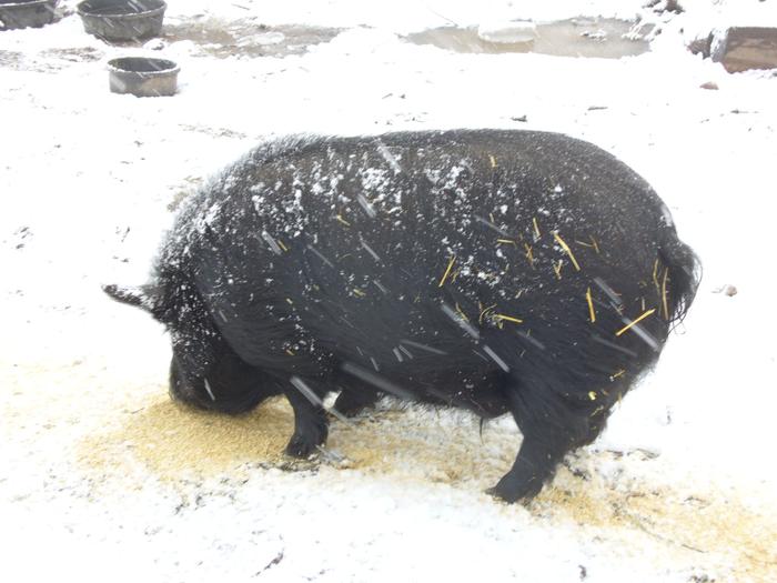 [Thumbnail for P1020626.jpg]