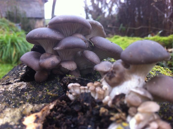 [Thumbnail for photo1.JPG]