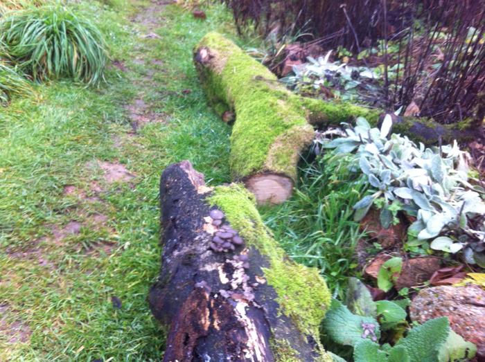 [Thumbnail for photo2.JPG]