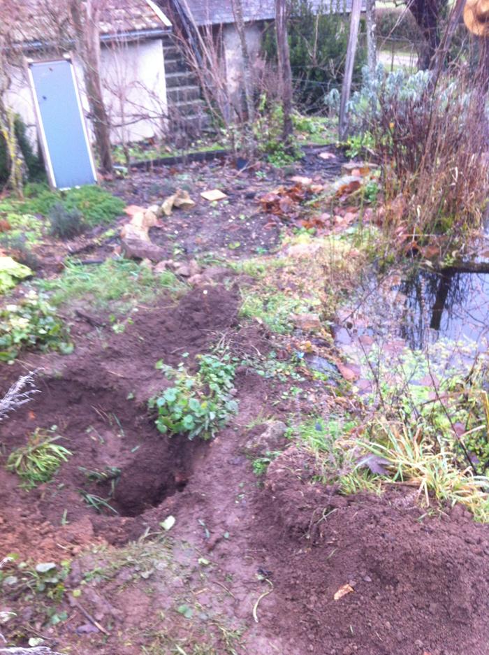 [Thumbnail for photo3.JPG]