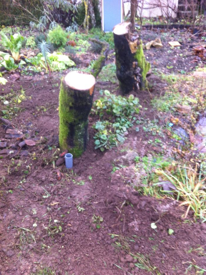 [Thumbnail for photo5.JPG]