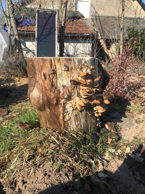 [Thumbnail for IMG_1048.jpg]