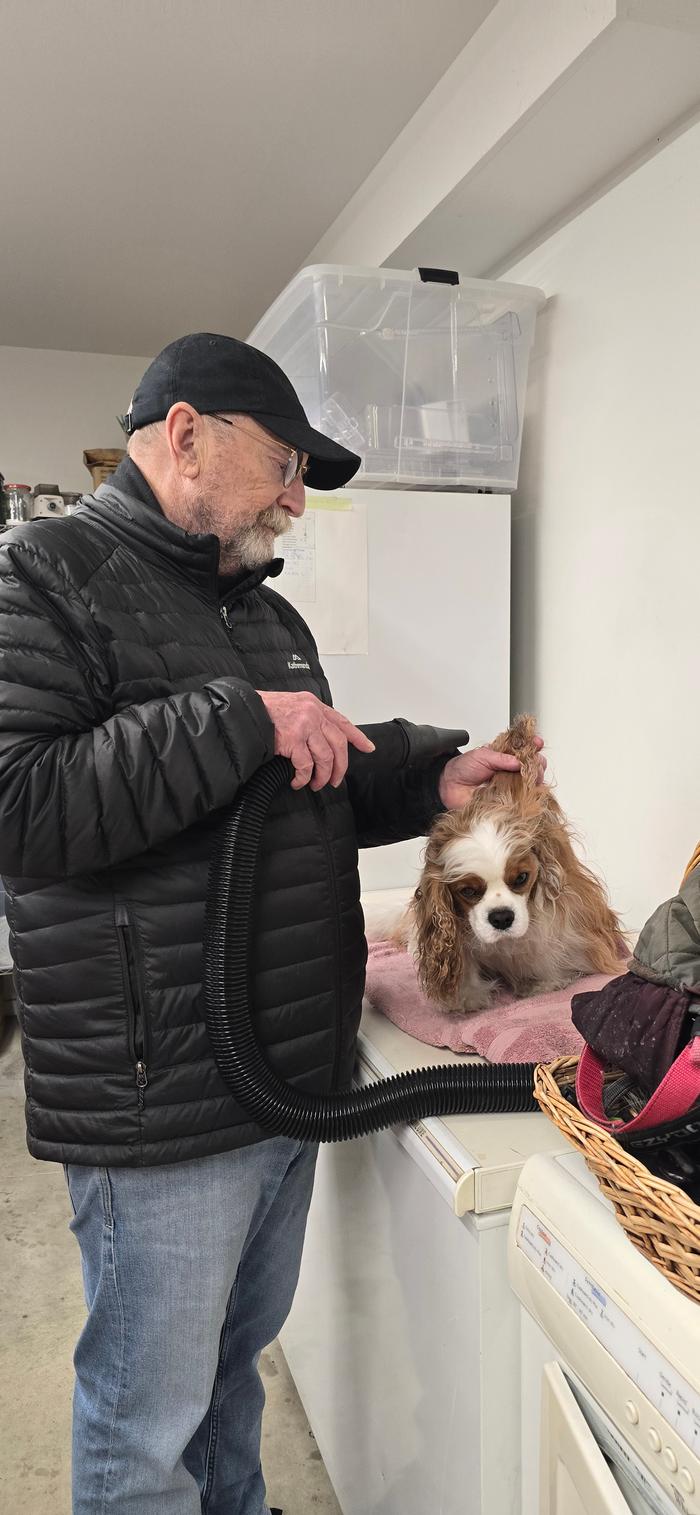 Drying the dog after our walk
