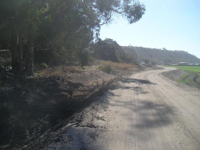 [Thumbnail for 12182425_10153444300263876_7607503411162479902_o.jpg]