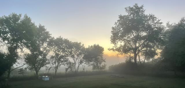 Foggy backyard sunrise