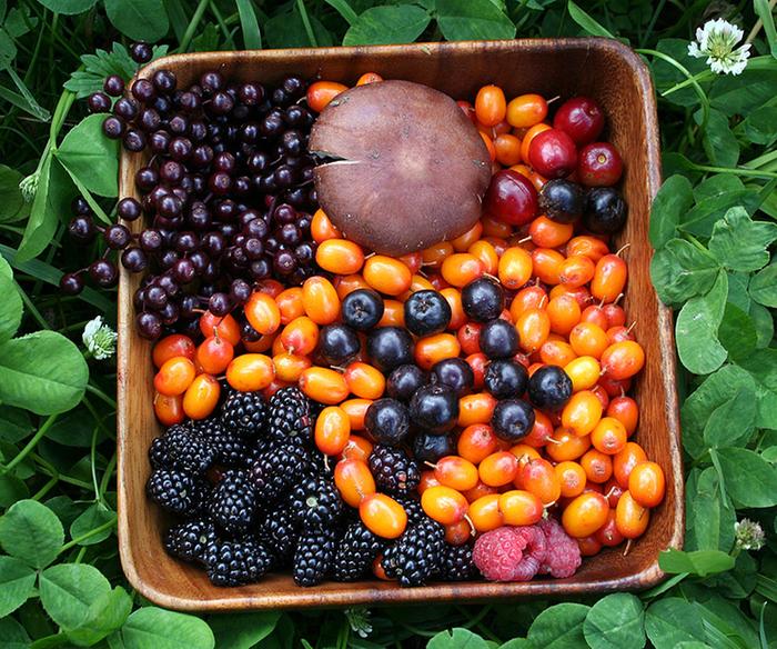 [Thumbnail for 800nutrient_dense_harvest_2010_aug.jpg]