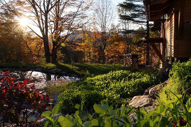 [Thumbnail for 635_wsd_studio_shop_autumn_light_cover_crop_pond.jpg]