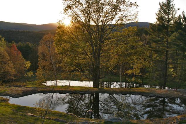 [Thumbnail for 635deans_2_ponds_may_10_08.jpg]