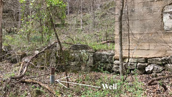 [Thumbnail for 1490811950.JPG]