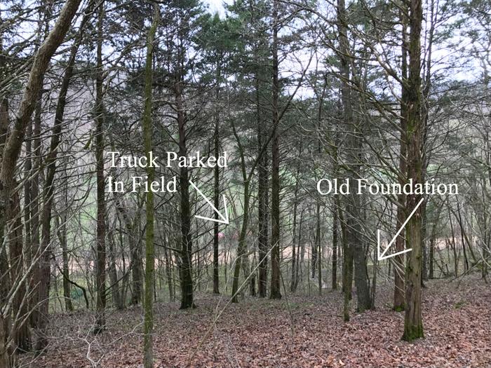 [Thumbnail for 1490811917.JPG]