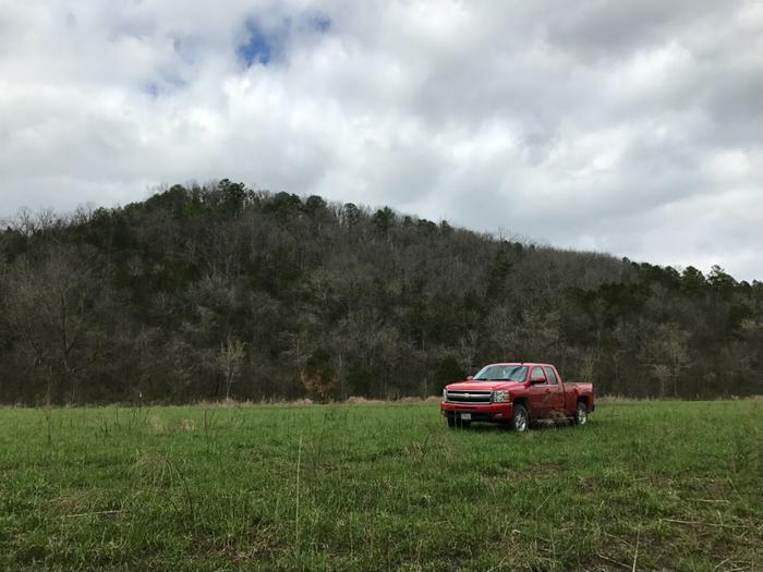 [Thumbnail for 1490811946.JPG]