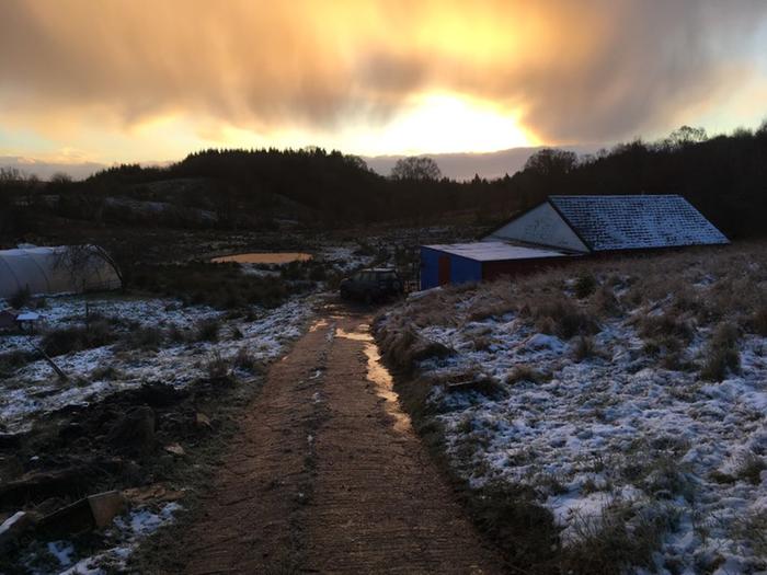 Irish homestead in winter