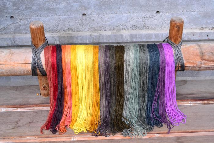 [Thumbnail for DYE-MYCOPIGMENTS-Exploring_Wild_Mushroom_Dyes_with_Alissa_Allen-_BayNature.org.jpg]