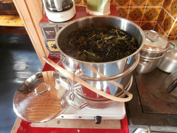 Currants and sugar go in the steam juicer aka "Mehu-Maija"