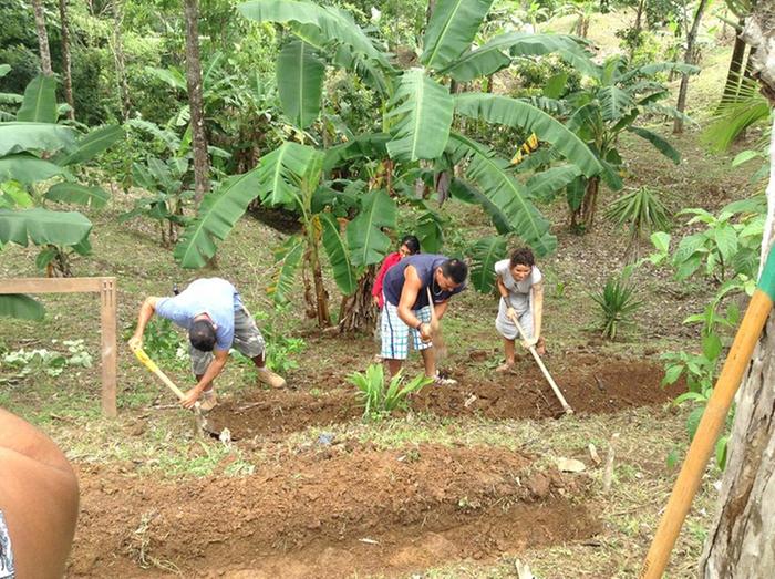 [Thumbnail for learnpermaculture.jpg]