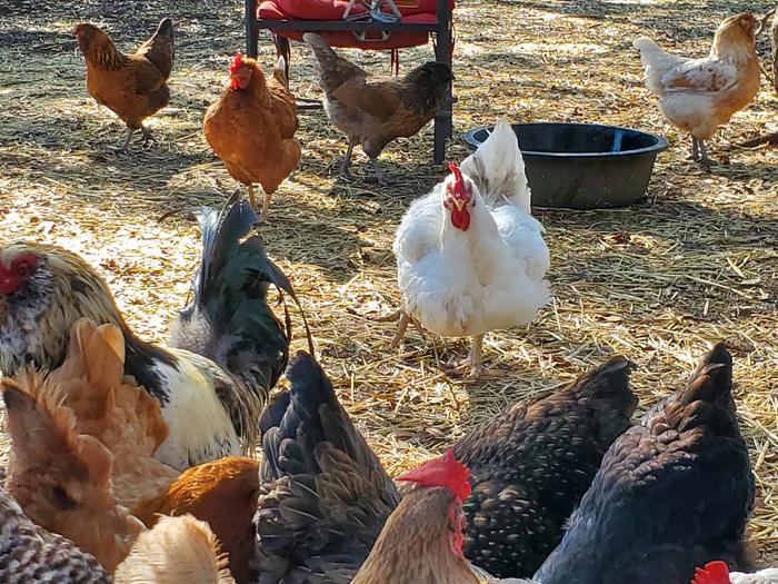 [Thumbnail for 20201216_121921.jpg]