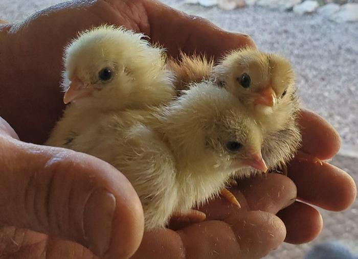 [Thumbnail for 20201217_111855.jpg]