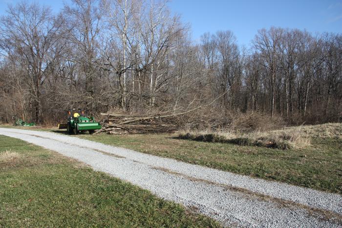 Brush pile to be chipped