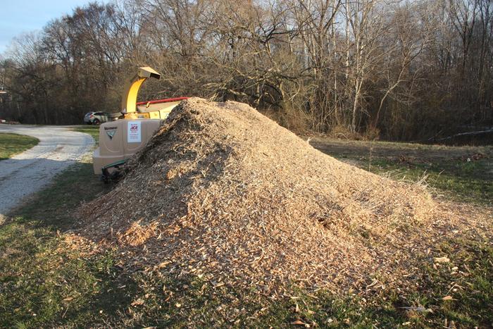 End view of chip pile