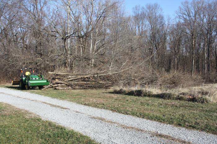 Brush pile for chipping