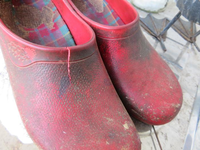 [Thumbnail for broken-clogs.jpg]