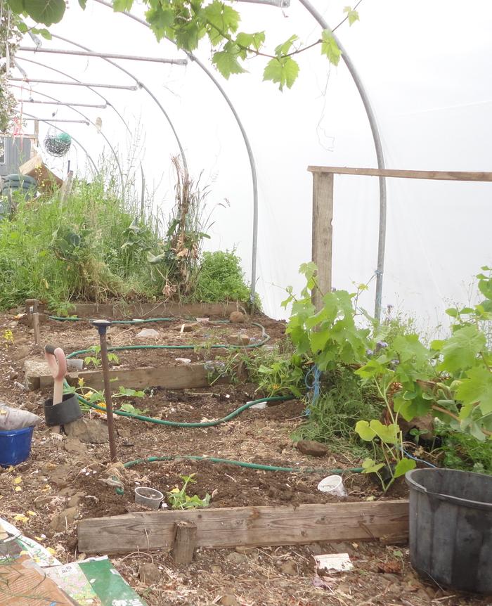 soaker hose made from leaky hosepipe