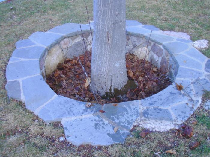 Tree well, a raised bed in reverse