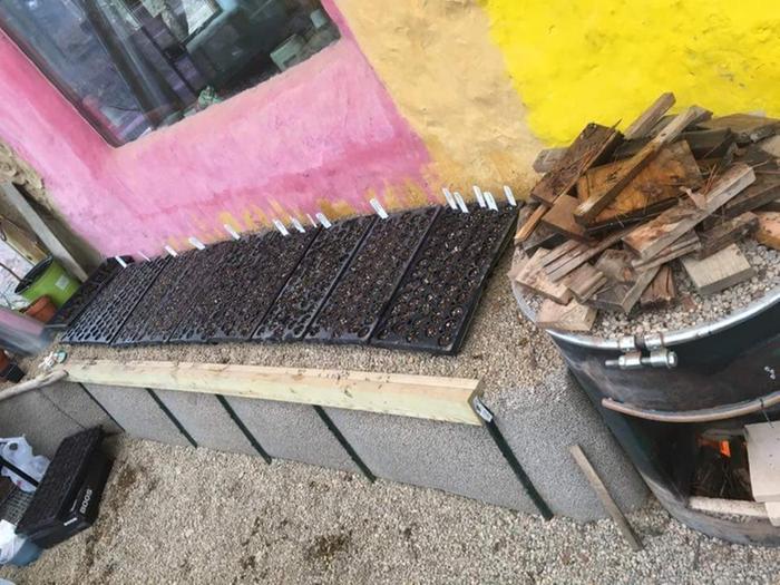 [Thumbnail for FB_IMG_1522338491561.jpg]