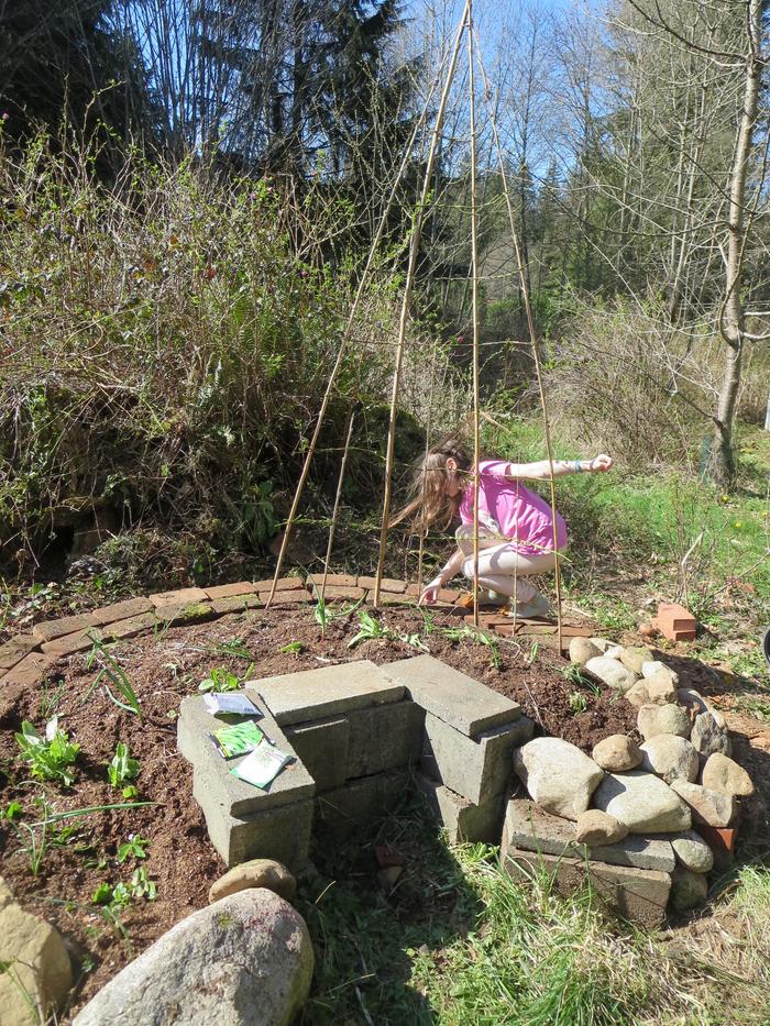 And, they were a perfect place for my daughter to perch while she planted peas.