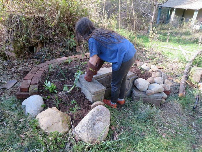 My son came by and said the garden needed leeks, so we dug up some Babington leeks and added them!