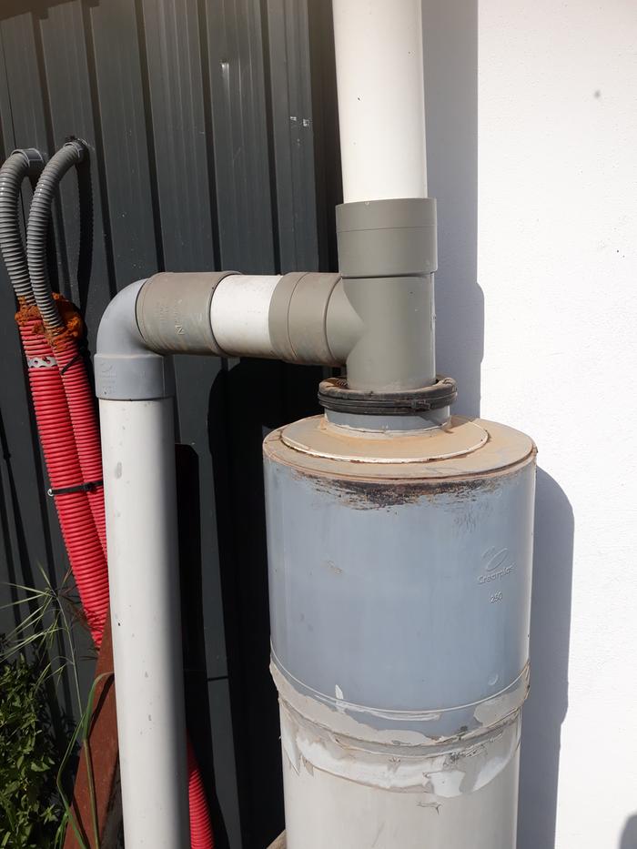 [Thumbnail for First-flush.jpg]