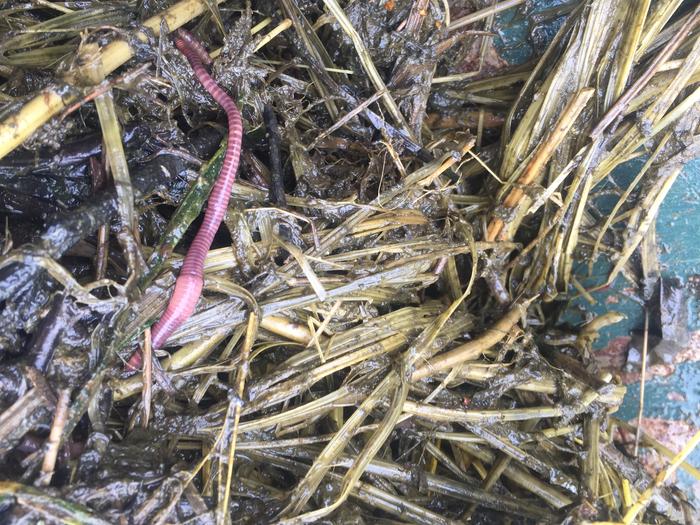 [Thumbnail for IMG_0355.JPG]