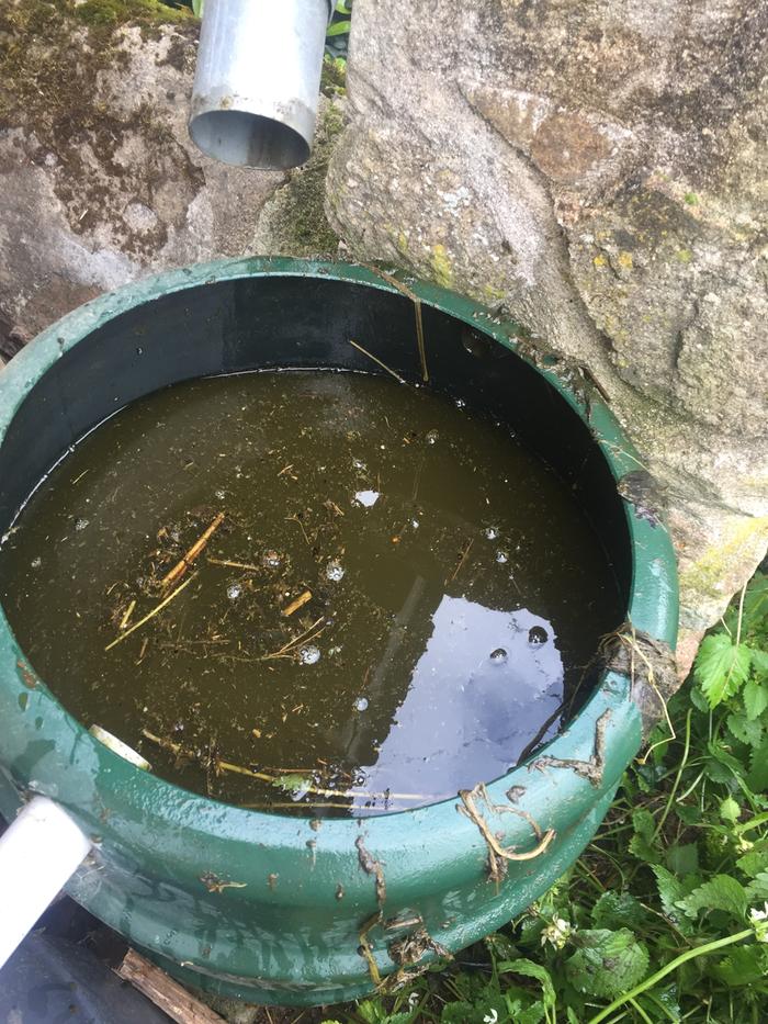 [Thumbnail for IMG_0356.JPG]