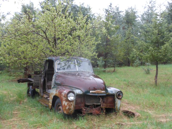 [Thumbnail for DSCN0231.JPG]