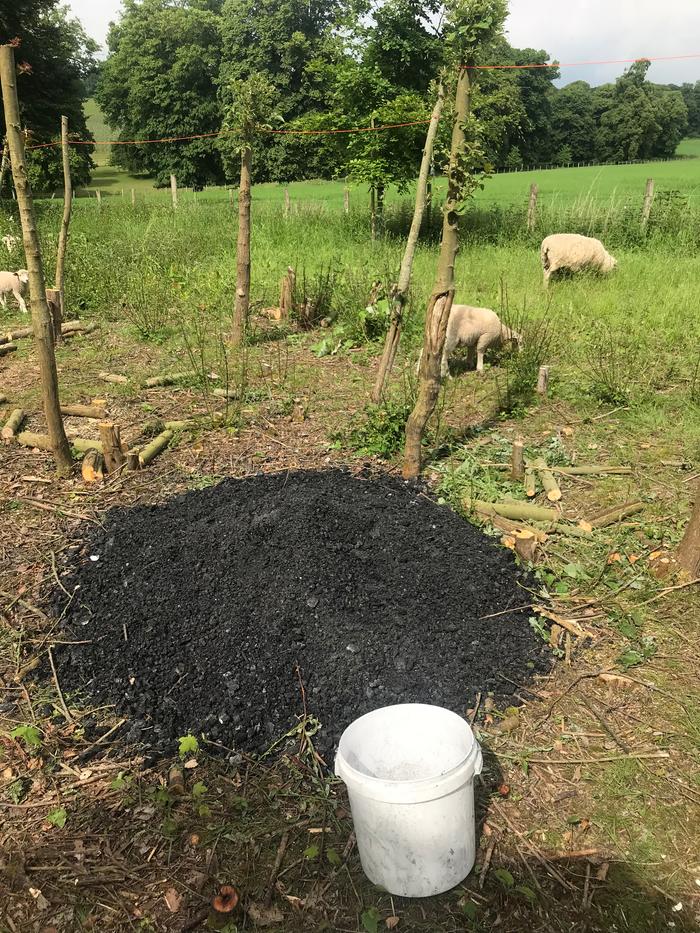 The finished char pile. About the same amount again has been distributed to garden beds from earlier burns