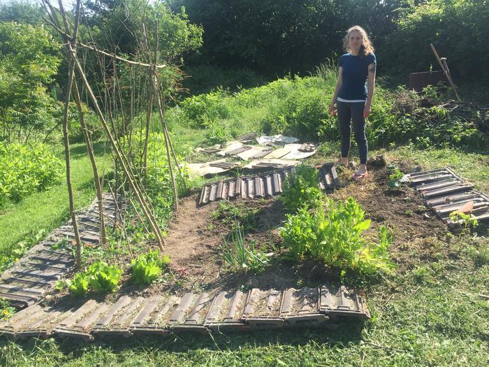 [Thumbnail for IMG_0467.JPG]