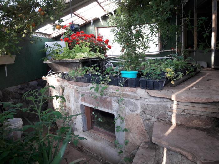 [Thumbnail for Brians-Masonry-aquaponics-north-side-3-June-10th-2018.jpg]