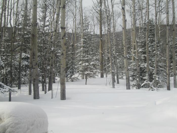 [Thumbnail for IMG_0004.JPG]