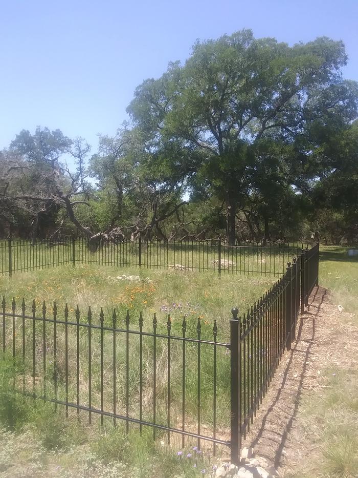 somewhat spooky fence