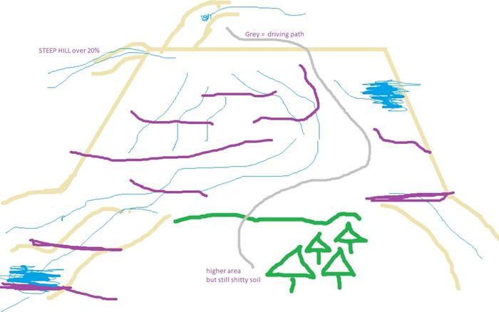 [Thumbnail for land1.jpg]