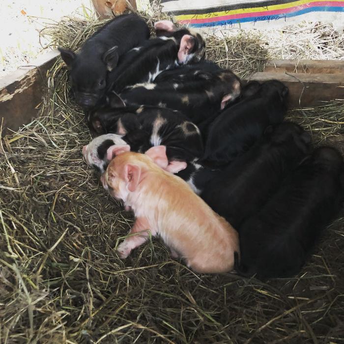 [Thumbnail for IMG-1989.JPG]