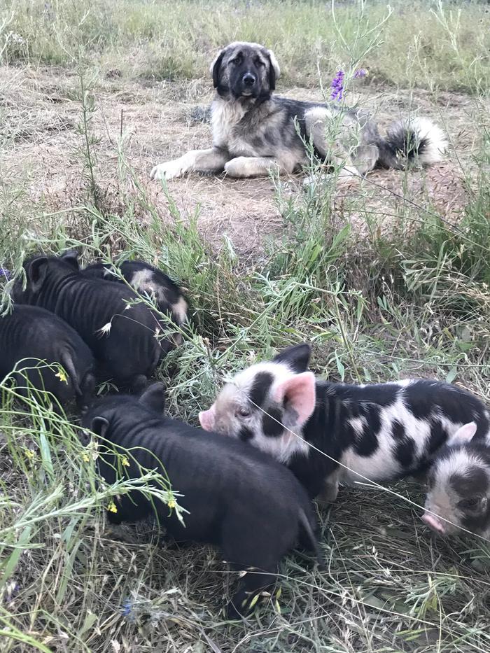 [Thumbnail for 78E57676-27B2-447E-B248-D1228261779A.jpeg]