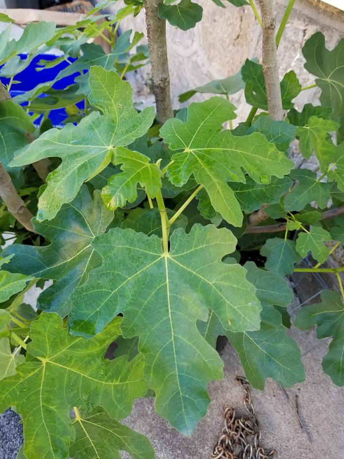 [Thumbnail for 20180625_182253.jpg]