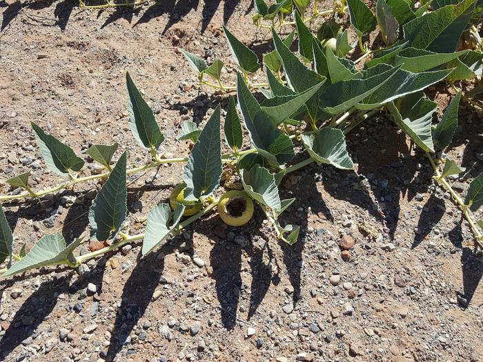 [Thumbnail for 20180627_102243.jpg]