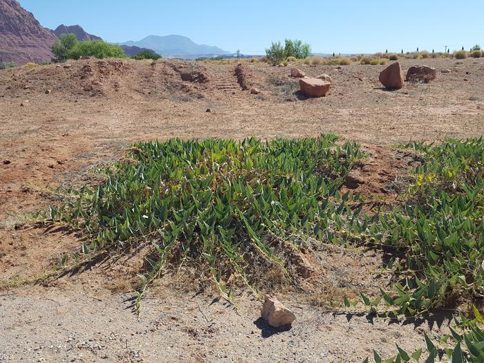 [Thumbnail for 20180627_102236.jpg]