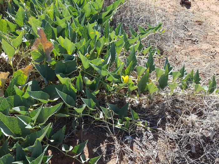 [Thumbnail for 20180627_102321.jpg]