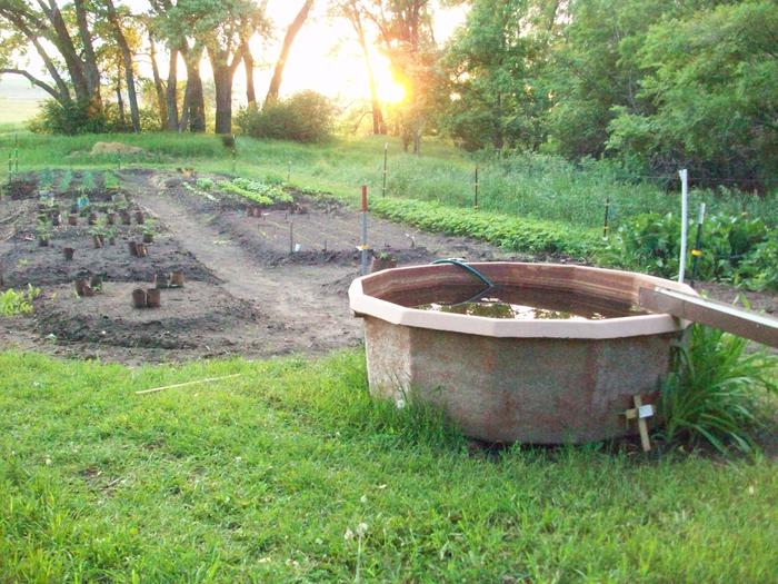 [Thumbnail for 001.JPG]