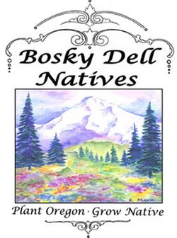 [Thumbnail for BOSKY3.jpg]