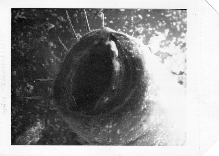 [Thumbnail for img665.jpg]