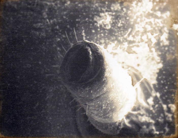 [Thumbnail for img664.jpg]